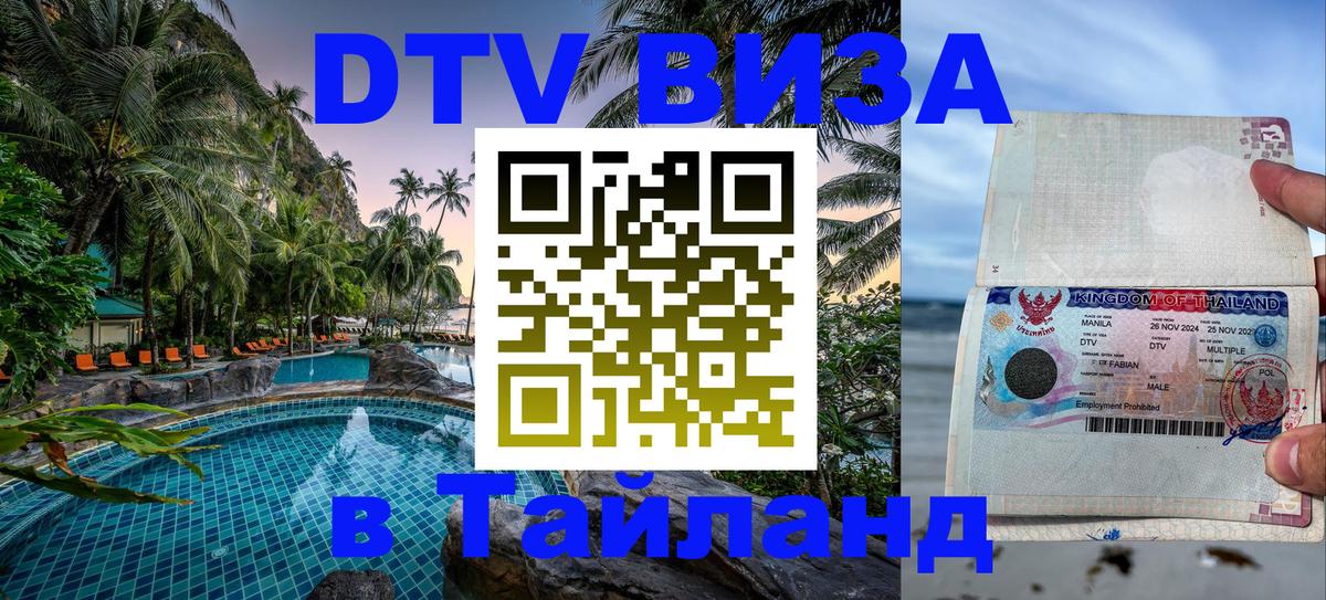 Оформление DTV визы под ключ: стоимость и тарифы, только загранпаспорт - 20.11.2025 
